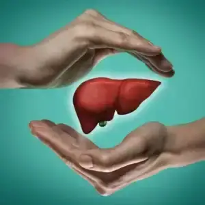 VIÊN UỐNG BỔ GAN - THẢI ĐỘC GAN - HẾT VÀNG DA, NHIỆT MIỆNG, HÔI MIỆNG, GIẢM MỤN - Ảnh 4