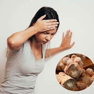 TINH BỘT TAM THẤT - TAM THẤT HOANG DÃ VÂN NAM - Ảnh 6